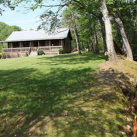 Climbing Bear Creekside Cabin Villa Whittier Eksteriør billede